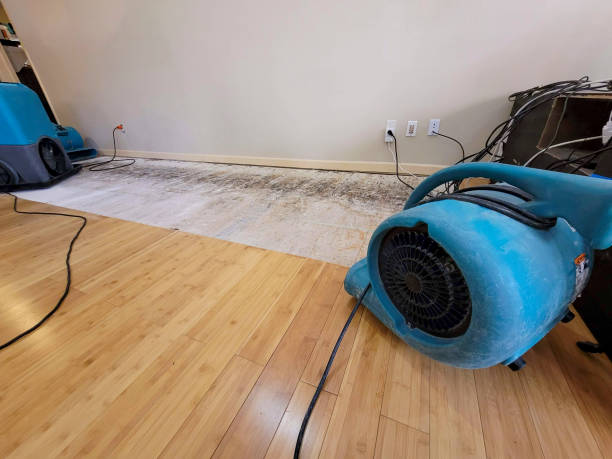 Professional Flood Damage Cleanup technician working in Bickleton, WA